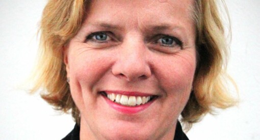 Offentlighet er en hemsko, mener Kirsti Slotsvik - kystdirektør og styremedlem i helseforetak