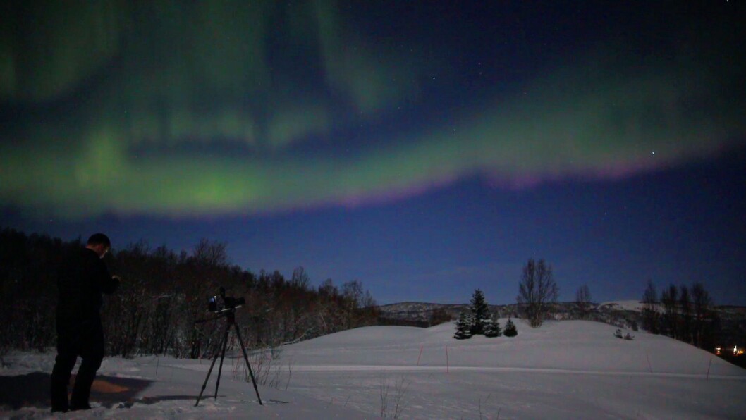 Nordlys en av de første kveldene på live-sendingen. Nordlys en av de første kveldene på live-sendingen.