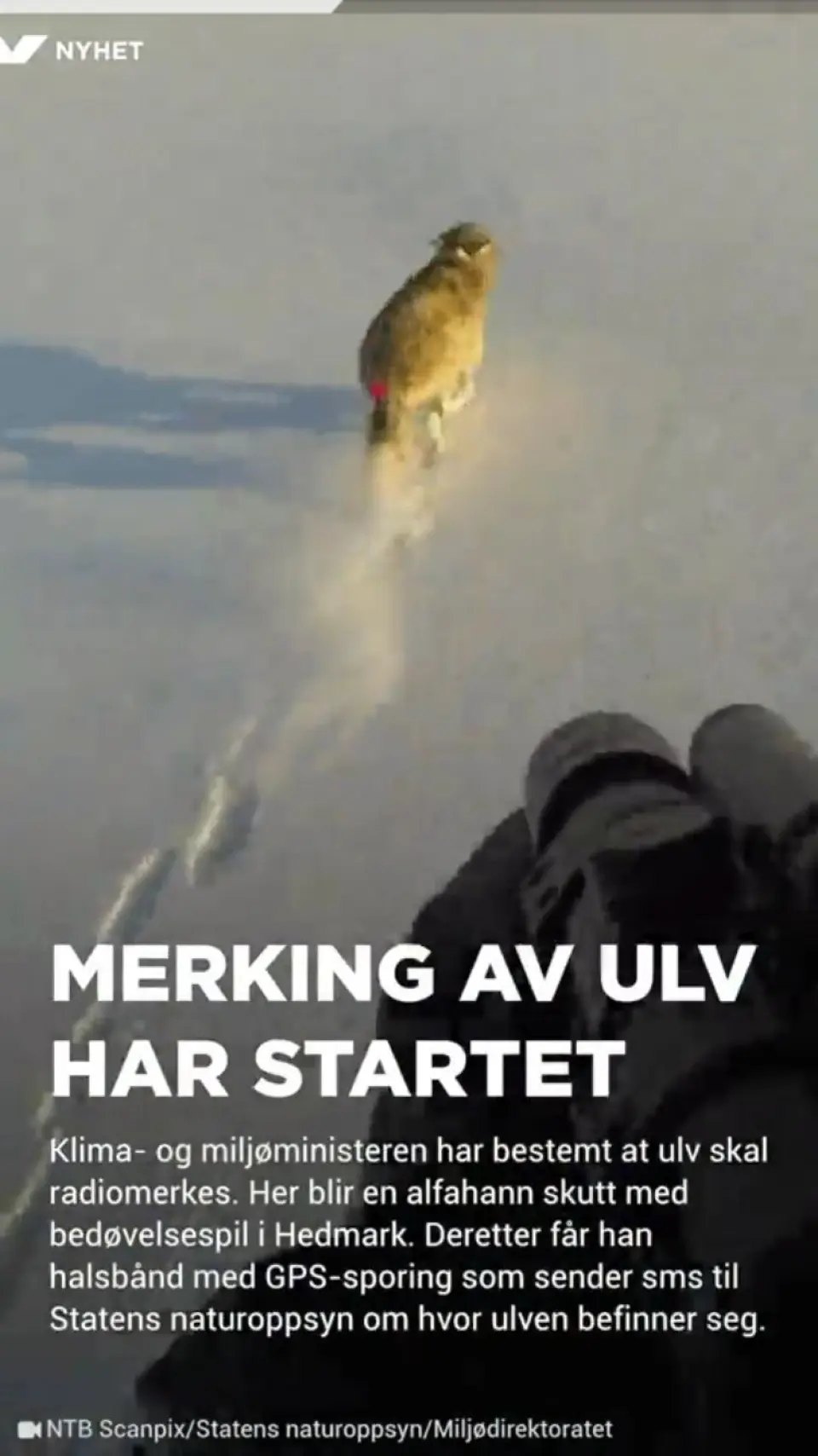 Nå er VG blitt først i Norden på Snapchat Discover. Slik jobber teamet på seks med å deske for snap