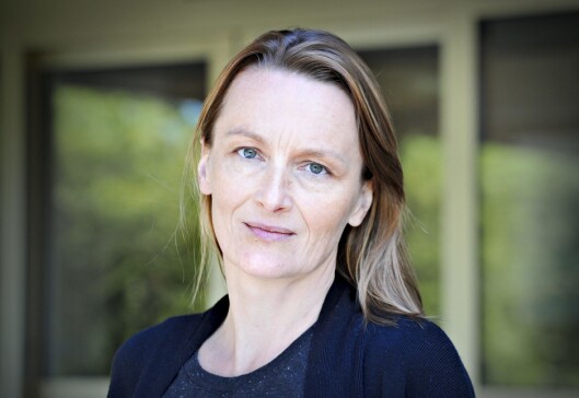 Karianne Braathen, politisk redaktør i Drammens Tidende. Karianne Braathen, politisk redaktør i Drammens Tidende.