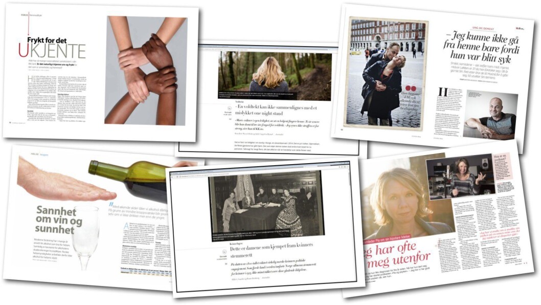 Noen av de mange ukeblad og magasinsakene som er publisert det siste året. Noen av de mange ukeblad og magasinsakene som er publisert det siste året.