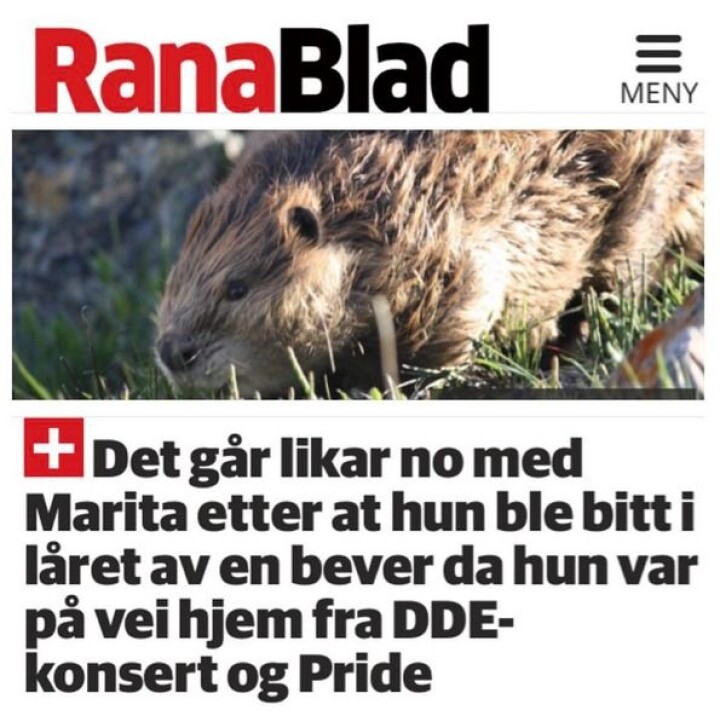 Du vil ikke tro disse overskriftene: Her er de 10 beste avistitlene verden har sett