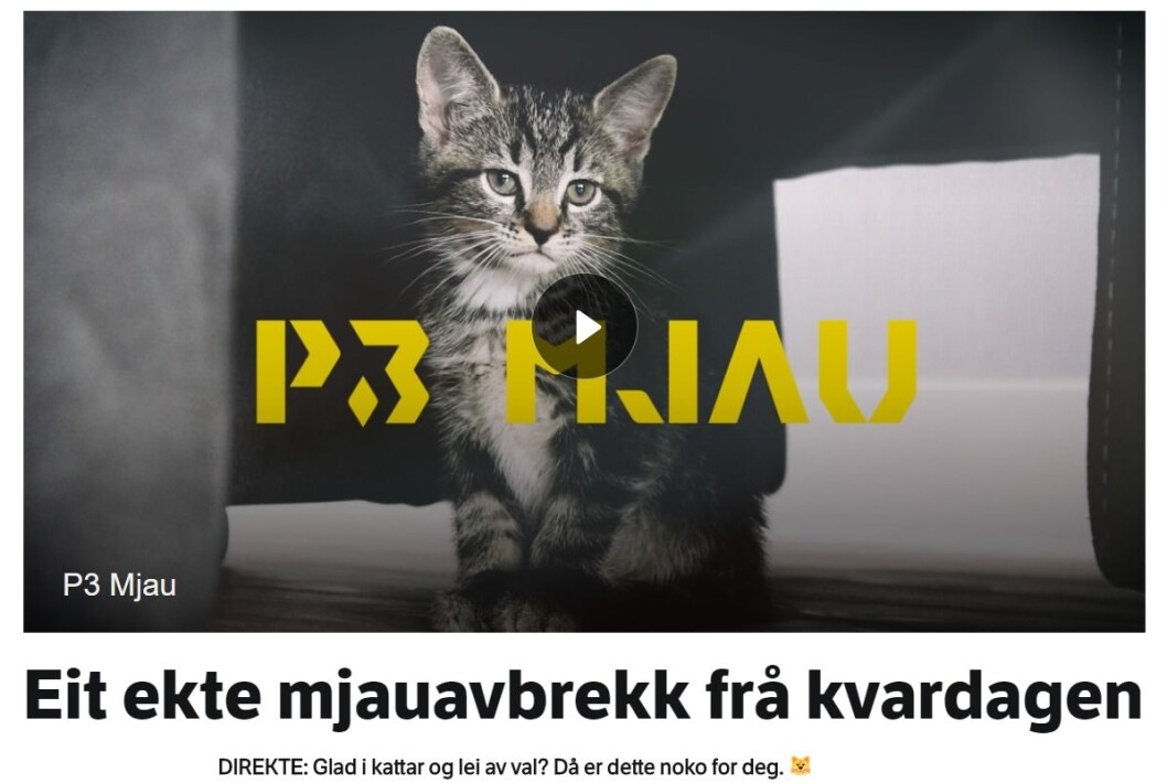 Faksimile fra nettsidene til P3.. Faksimile fra nettsidene til P3..