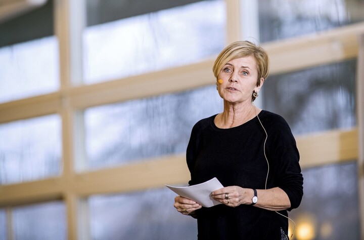 Den danske kulturminister Mette Bock. Den danske kulturminister Mette Bock.