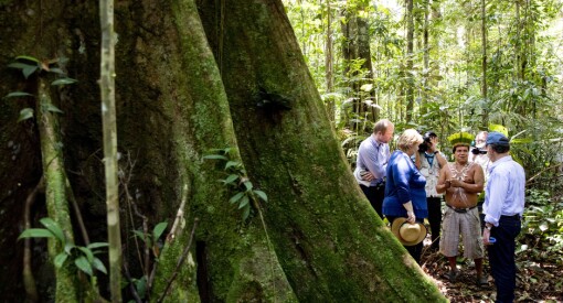 Klimaminister Ola Elvestuen og Norge skal bruke nærmere 50 millioner på journalistikk om regnskog