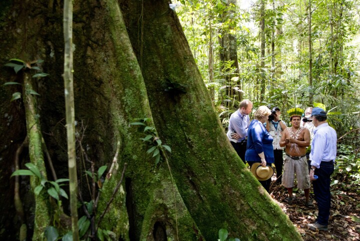 Illustrasjonsbilde: Statsminister Erna Solberg og Colombias president Juan Manuel Santos fikk omvisning i den lokale regnskogen av høvding Absalon Arango. Solberg og Santos besøkte et urfolksamfunn på grensen til Brasil, midt i regnskogen i Amazonas. Foto: Tore Meek / NTB scanpix