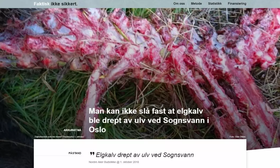 Man kan ikke slå fast at elgkalv ble drept av ulv ved Sognsvann i Oslo, skriver Faktisk.