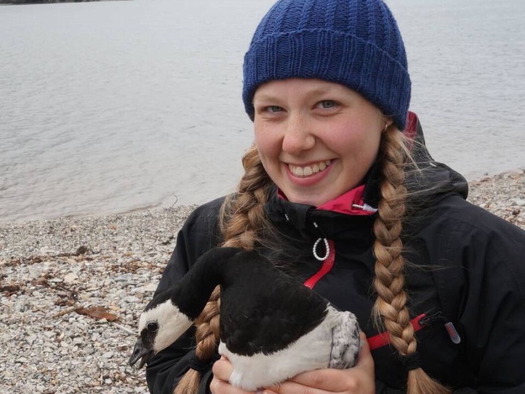 Nellie Henriette Nilsen fra Tromsø fikk drømmejobben og mønstrer på BBC Earth. Nellie Henriette Nilsen fra Tromsø fikk drømmejobben og mønstrer på BBC Earth.