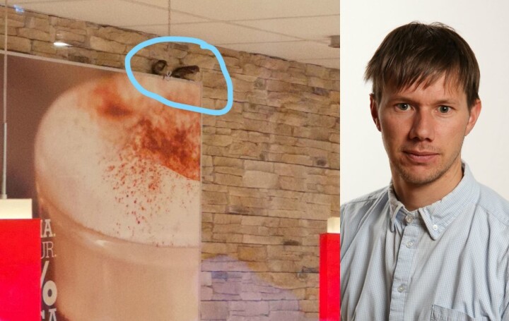 TIl venstre er fuglane på Burger King. Til høgre er journalist Andreas Høyer i Nordlys.