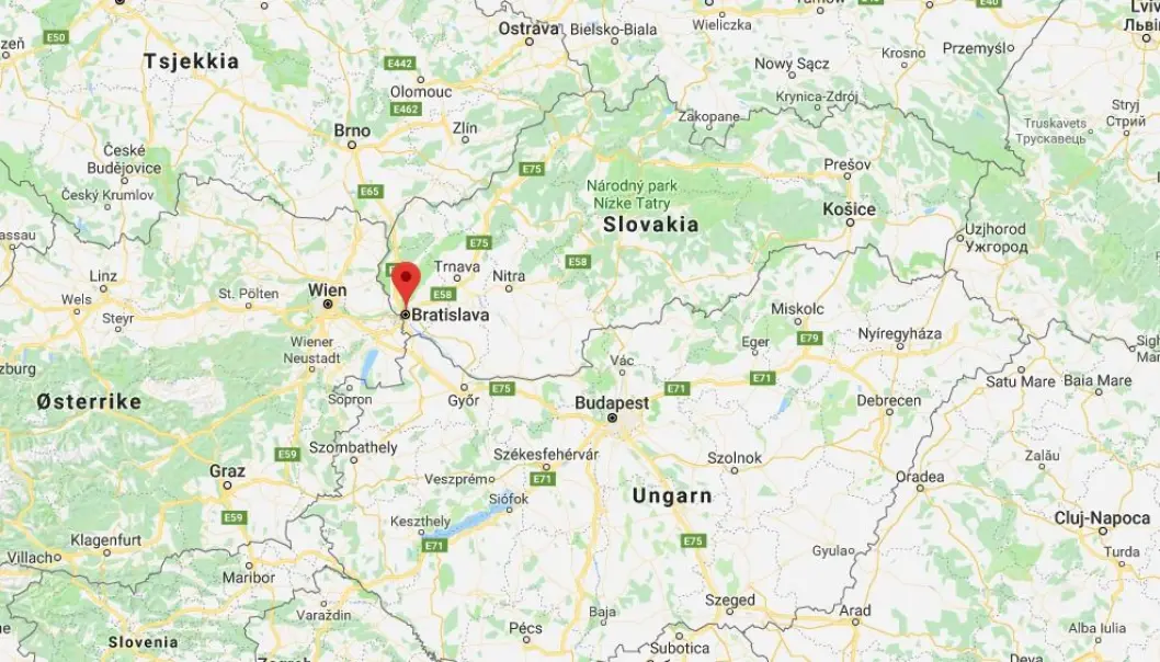 En slovakisk forretningsmann er siktet for å ha bestilt drapet på gravejournalist Jan Kuciak, opplyser påtalemyndigheten i hovedstaden Bratislava. En slovakisk forretningsmann er siktet for å ha bestilt drapet på gravejournalist Jan Kuciak, opplyser påtalemyndigheten i hovedstaden Bratislava.