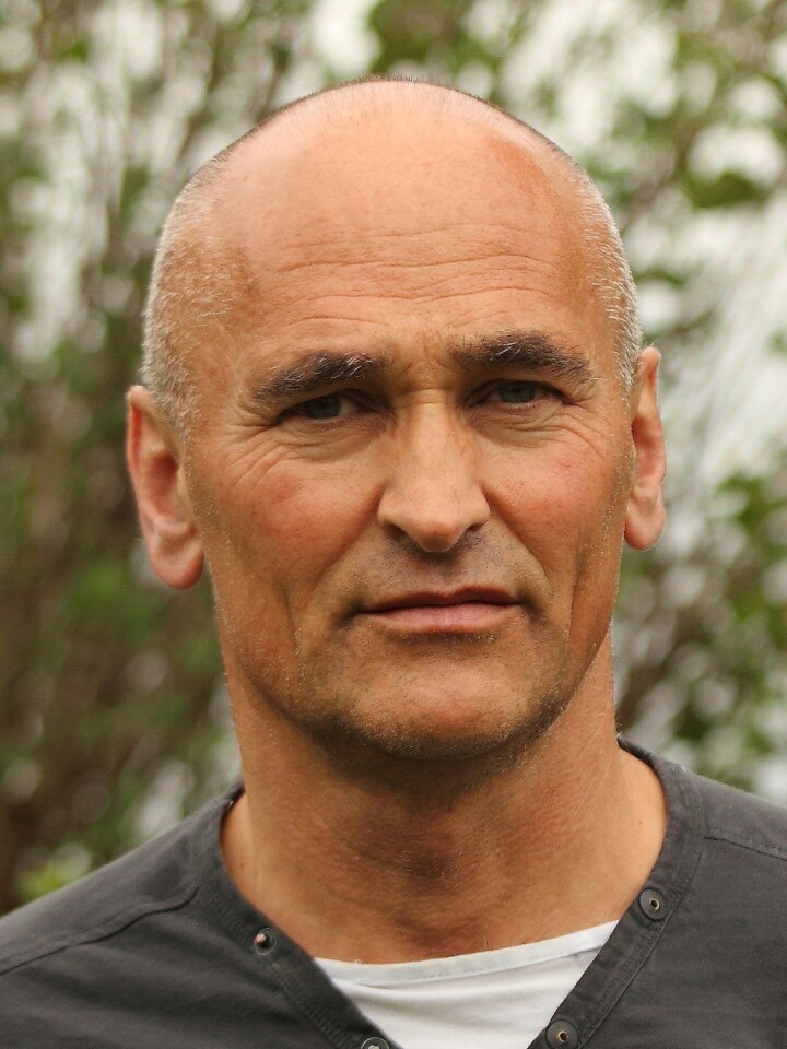 Harry Arne Solberg, NTNU-professor.