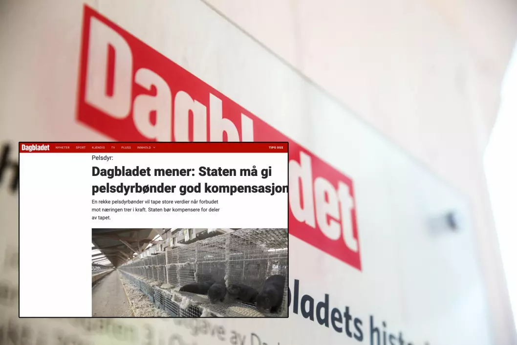 Nei, det er ikke funnet regelbrudd i halvparten av tilsynene med pelsdyrnæringen, skriver Faktisk om Dagbladets lederartikkel.