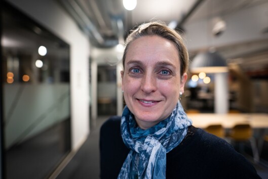 NRK-journalist Astrid Rommetveit er prosjektleiar for kanalen si klimaarbeidsgruppe. NRK-journalist Astrid Rommetveit er prosjektleiar for kanalen si klimaarbeidsgruppe.