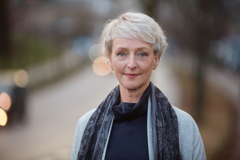 Direktør i Forbrukertilsynet, Elisabeth L. Haugseth. Direktør i Forbrukertilsynet, Elisabeth L. Haugseth.