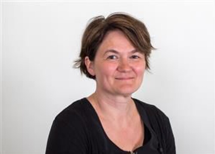 Førsteamanuensis Birgit Røe Mathisen ved fakultet for samfunnsfag ved Nord universitet.