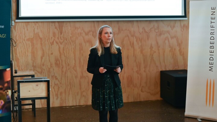Statssekretær i Barne- og Familiedepartementet, Jorunn Hallaråker
