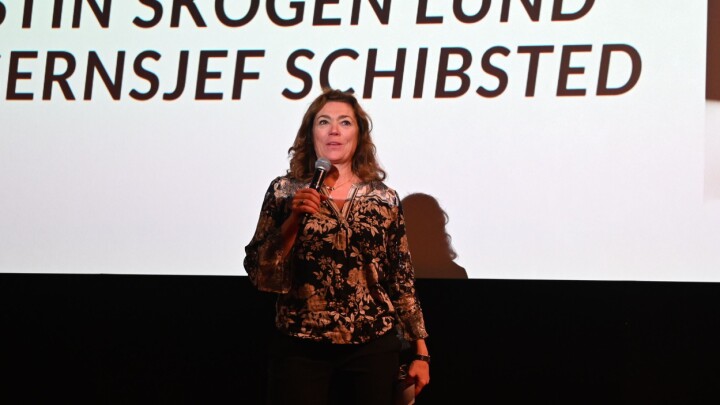 Kristin Skogen Lund, Konsernsjef i Schibsted