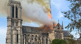 «Notre-Dame» årets mest populære Google-søk