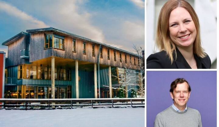 Slakter Volda-ledelsen: – Ukyndig og ute av stand til å ivareta omsorgen til Rotevatn