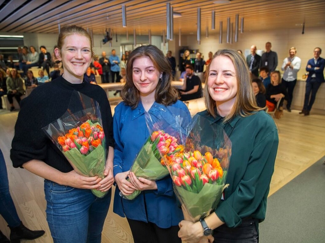 Marit Gjellan, Fride Næss Nonstad og Anne Lindholm Marit Gjellan, Fride Næss Nonstad og Anne Lindholm