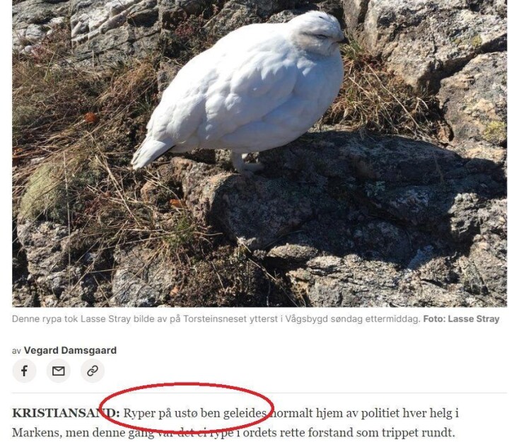 Faksimile fra Fædrelandsvennen.