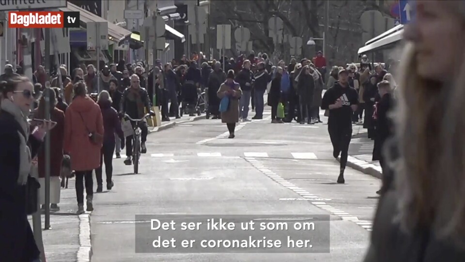 Faksimile fra Dagbladets TV-reportasje.