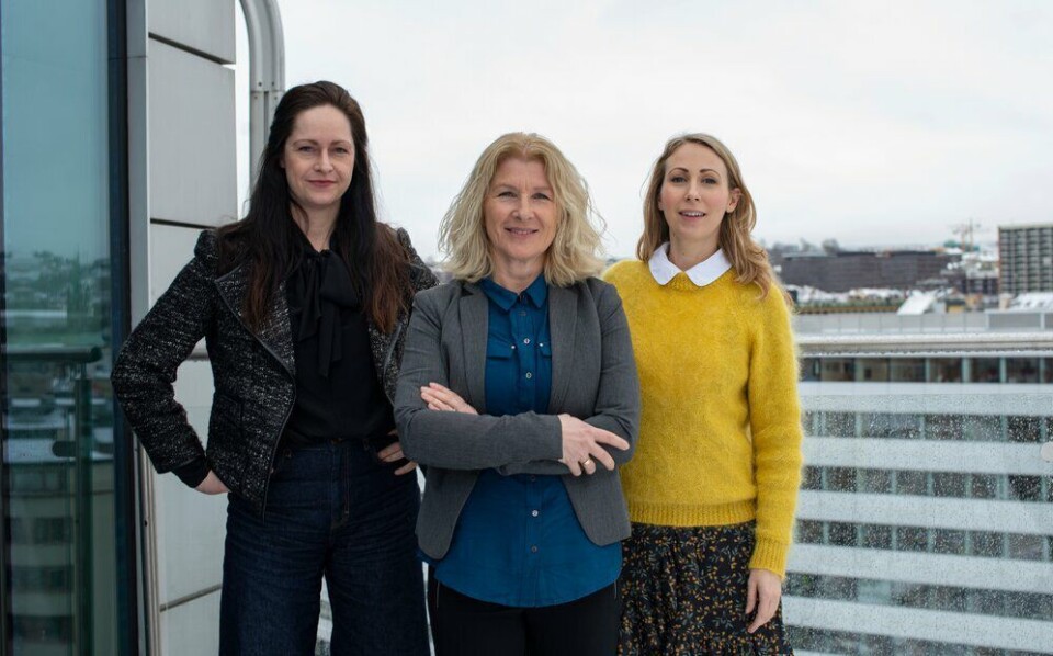 Janne Johannessen, Anita Hoemsnæs og Jorunn Aartun i Dagens Næringsliv startet opp Facebook-gruppa DN Kvinner. Heidi Odde Karstensen har også vært sentral i arbeidet, men var ikke til stede da Medier24 besøkte gjengen i mars 2019. Janne Johannessen, Anita Hoemsnæs og Jorunn Aartun i Dagens Næringsliv startet opp Facebook-gruppa DN Kvinner. Heidi Odde Karstensen har også vært sentral i arbeidet, men var ikke til stede da Medier24 besøkte gjengen i mars 2019.