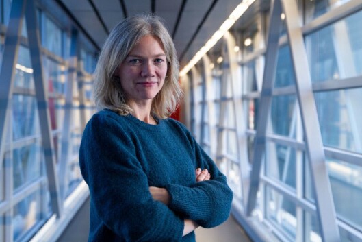 Solveig Husøy, redaksjonssjef for undersøkande journalistikk i NRK si Dokumentar- og samfunnsavdeling. Solveig Husøy, redaksjonssjef for undersøkande journalistikk i NRK si Dokumentar- og samfunnsavdeling.