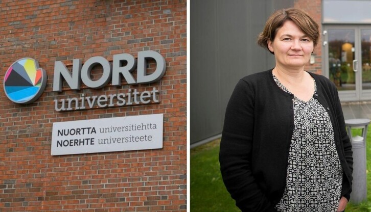 Professor ved Fakultetet for Samfunnsvitenskap ved Nord Universitet, Birgit Røe Mathisen.