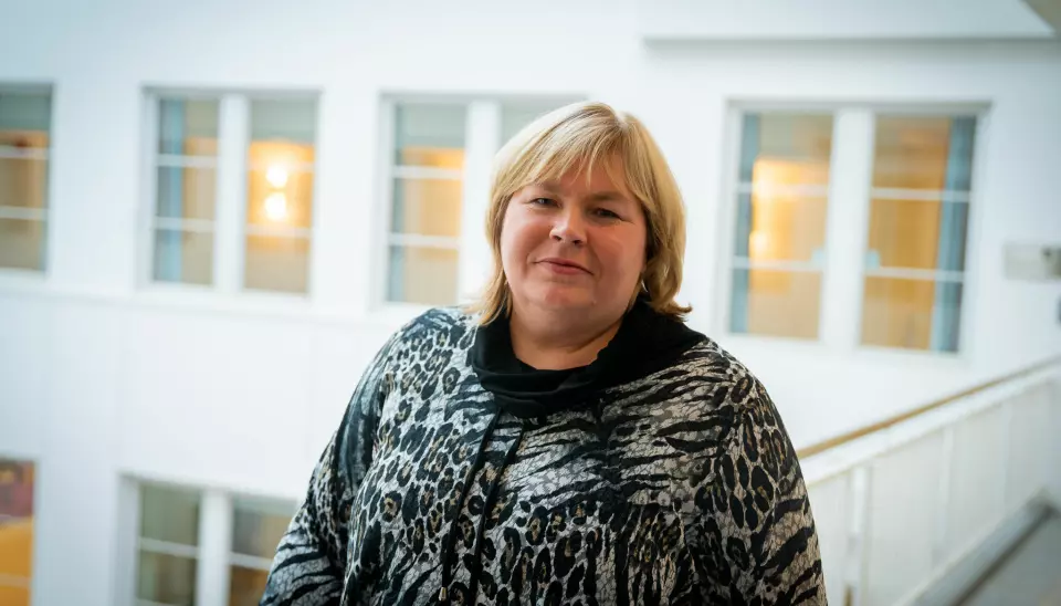 Leder for Norsk Presseforbund, Elin Floberghagen