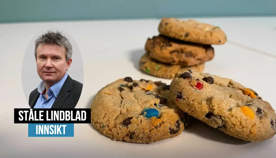 «Cookies» er på vei ut. Ståle Lindblad forteller hva som er de beste alternativene. «Cookies» er på vei ut. Ståle Lindblad forteller hva som er de beste alternativene.