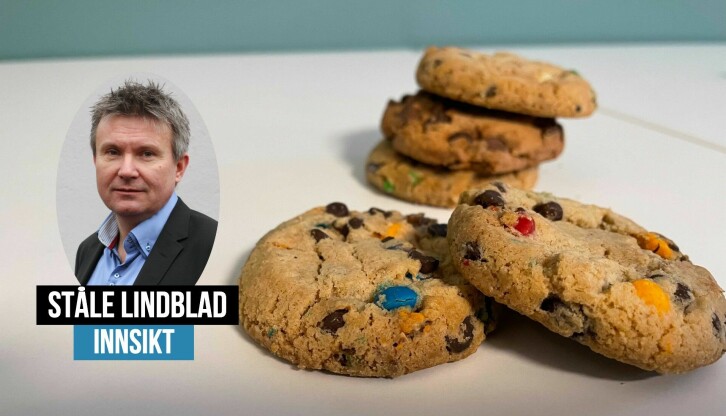 «Cookies» er på vei ut. Ståle Lindblad forteller hva som er de beste alternativene.