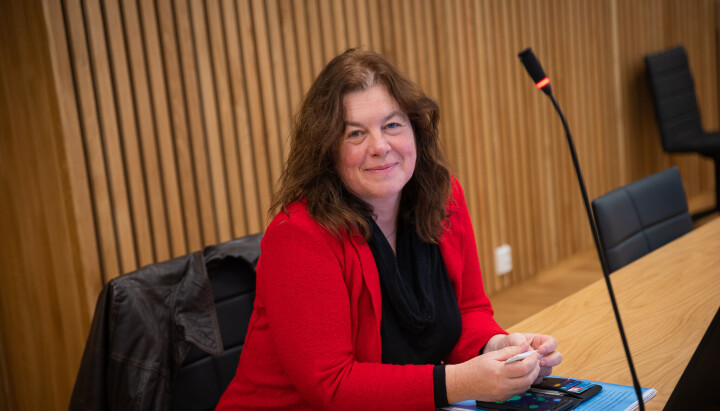 Styreleder i LL Inntrøndelagen, Hulda Tronstad, under ankesaken i Frostating Lagmannsrett Styreleder i LL Inntrøndelagen, Hulda Tronstad, under ankesaken i Frostating Lagmannsrett