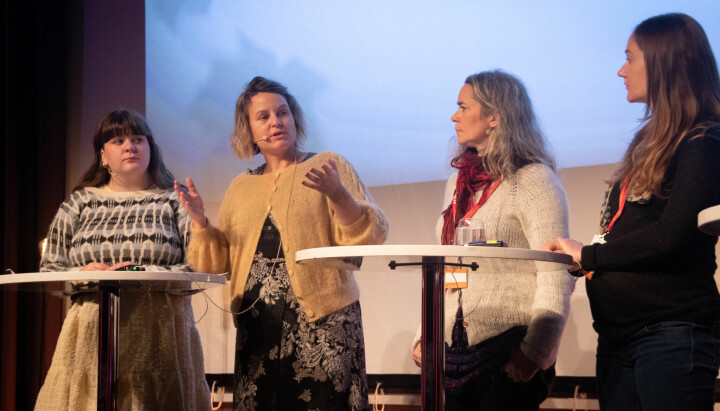 Sunniva A. Vik er leder Bergen Rød Ungdom, Karoline Andrea Ihlebæk forsker på netthets, Mari Horve Reite er debattredaktør i Fædrelandsvennen og Alise Lea Tiller er redaktør i Dalane Tidende.