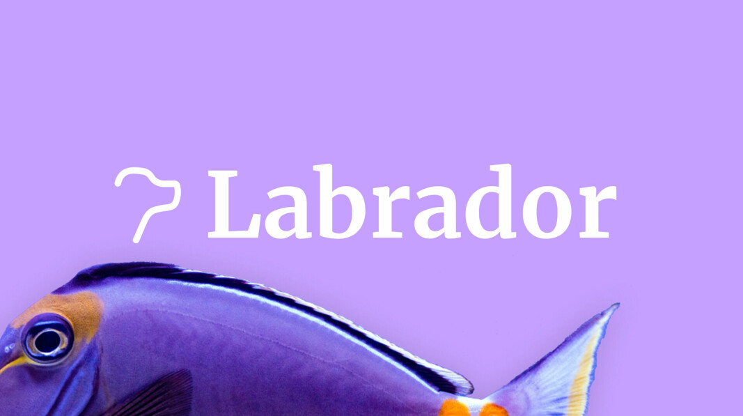 Labrador CMS har nå 170 siter i fire land på kundelista.