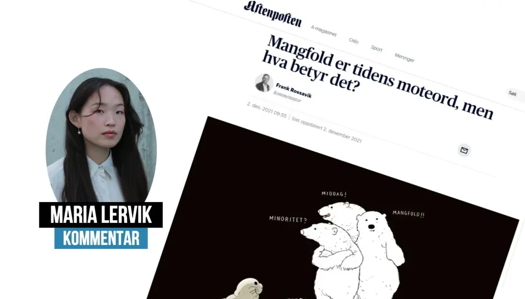 Maria Lervik mener vi må ha en plan når vi prater om mangfold. Maria Lervik mener vi må ha en plan når vi prater om mangfold.