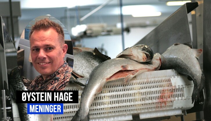 Det er ikke NRK som har avslørt saker om lakseeksport, skriver Øystein Hage.