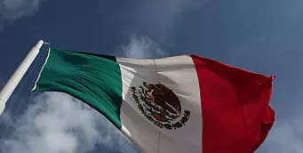 Nye journalist­drap i Mexico