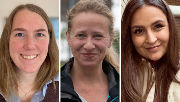 Siri Wichne Pedersen er universitetslektor og studieprogramleder på bacheloren i journalistikk ved Universitetet i Stavanger, ansvarlig redaktør i Solabladet, Helene Pahr-Iversen og tillitsvalgt for avgangselevene på journalistikkstudiet ved Universitetet i Stavanger, Elise Pedersen.