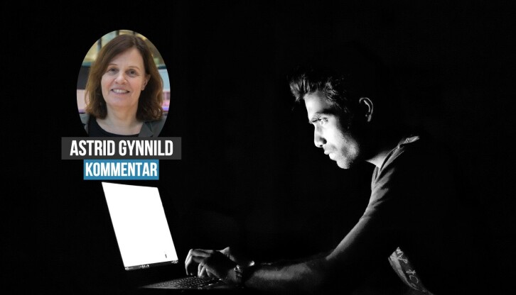 Å delta i cyberkrig er både alvorlig og ulovlig, mener Astrid Gynnild.