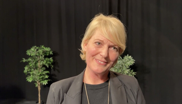 Direktør for Marienlystdivisjonen i NRK, Vibeke Fürst Haugen, blir ny kringkastingssjef.