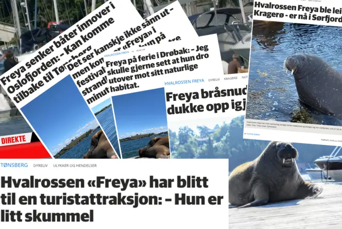 Faksimile av dekningen til VG, Kragerø Blad Vestmar og Tønsbergs Blad. Faksimile av dekningen til VG, Kragerø Blad Vestmar og Tønsbergs Blad.