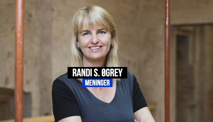 Randi Øgrey er redd det går utover mediemangfoldet at man ikke helt fritt får velge hva man vil ha på TV.
