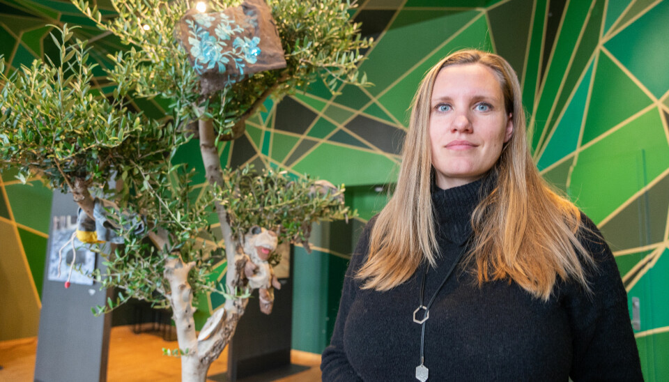 NRK-journalisten Kristin Solberg debuterer som kunster med Syria-utstillingen «Livsspor».