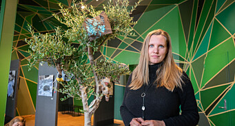 NRK-profil Kristin Solberg har en pause fra journalistikken. Nå åpner hun kunst­utstilling