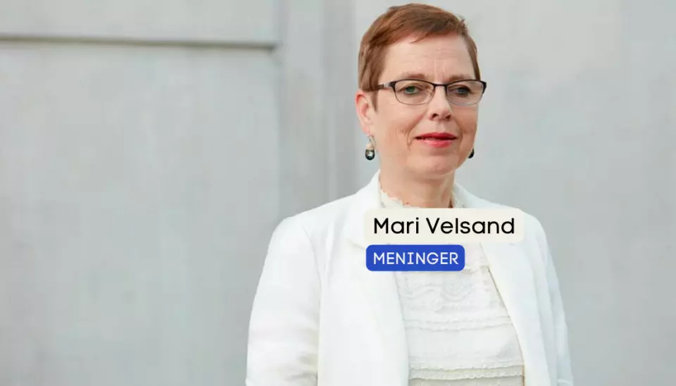 Mari Velsand i Medietilsynet forklarer hvorfor aviser må ha debatt for å kunne få produksjonstilskudd.