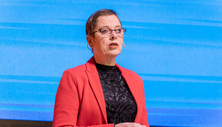 Mari Velsand fra Medietilsynet. Mari Velsand fra Medietilsynet.