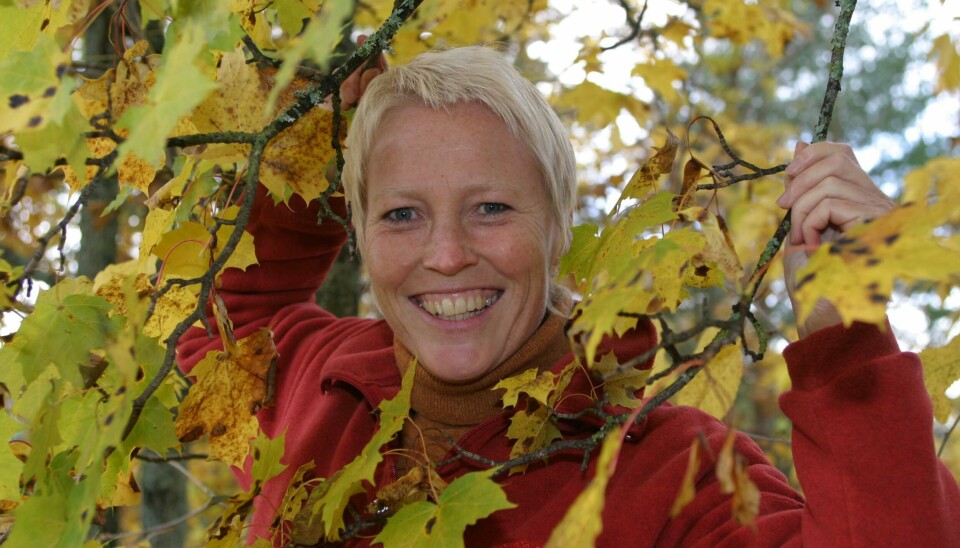 Kari Toft har vært programleder og journalist i NRK siden 1986. Nå gir hun seg.