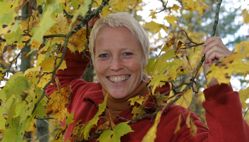 Kari Toft har vært programleder og journalist i NRK siden 1986. Nå gir hun seg. Kari Toft har vært programleder og journalist i NRK siden 1986. Nå gir hun seg.