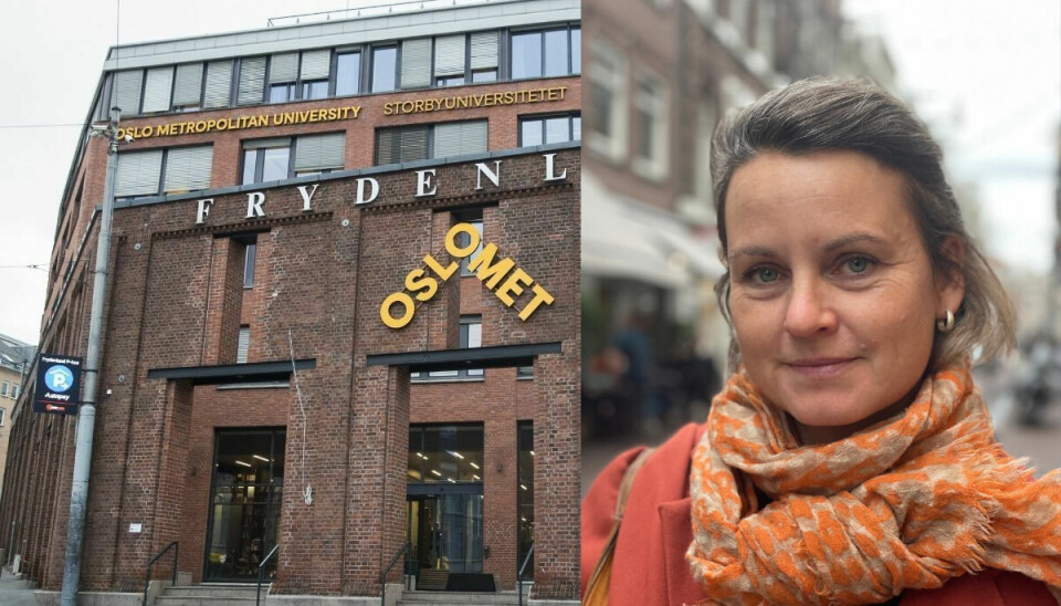 Karoline Andrea Ihlebæk ble tidligere i vinter professor i journalistikk ved OsloMet.